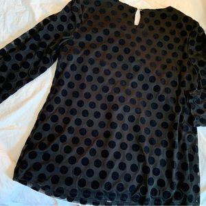 Belk Kim Rogers Dressy Blouse Velvet polka dots Sheer Sleeves 3/4Sleeves LikeNew